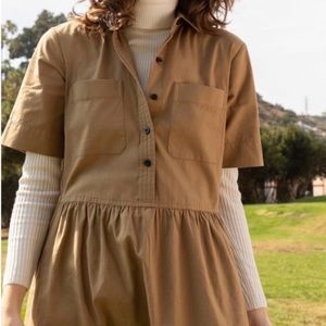 Everlane Parklet Shirt Dress